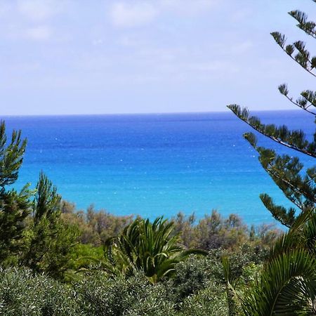 Porto Santo - Pedras Pretas Beach House المظهر الخارجي الصورة