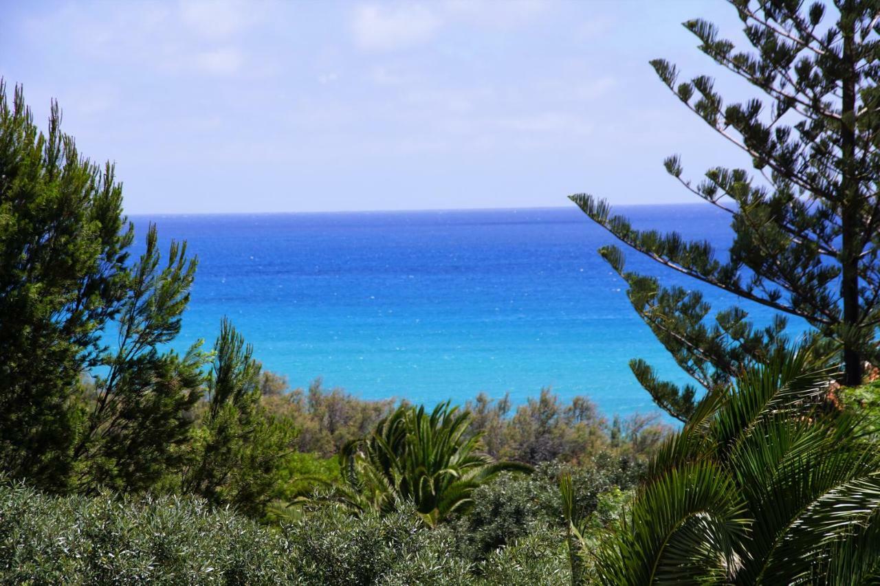 Porto Santo - Pedras Pretas Beach House المظهر الخارجي الصورة