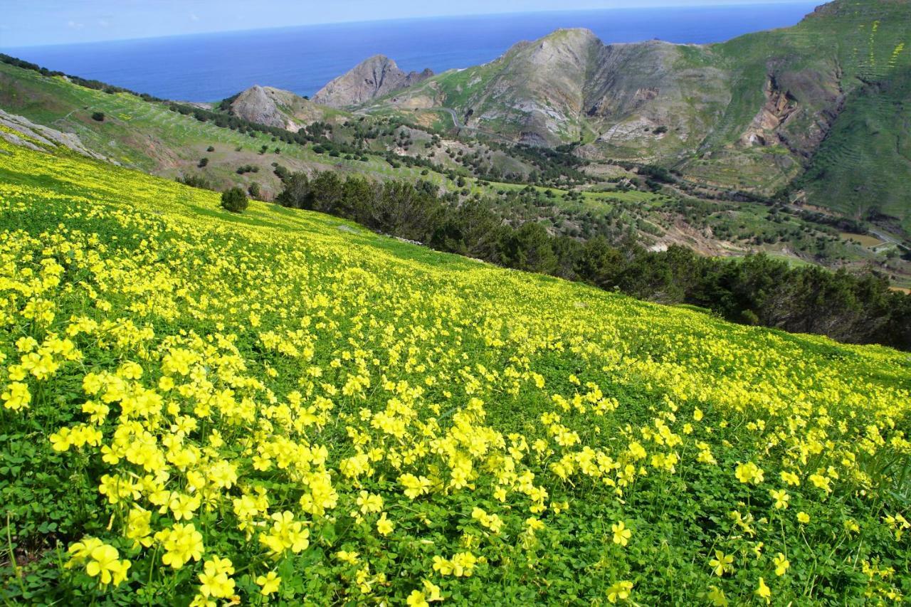 Porto Santo - Pedras Pretas Beach House المظهر الخارجي الصورة